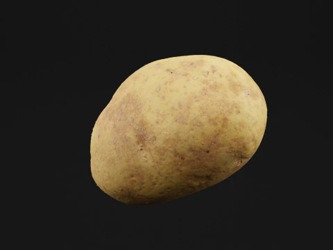 Batata Vegetal Modelo 3D