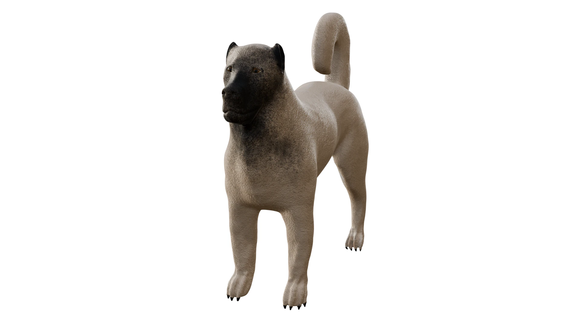 Kangal Shepherd 3d 3D Model .c4d .max .obj .3ds .fbx .stl .blend