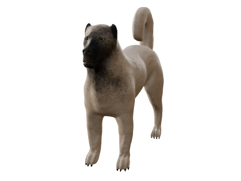 Kangal Shepherd 3d 3D Model