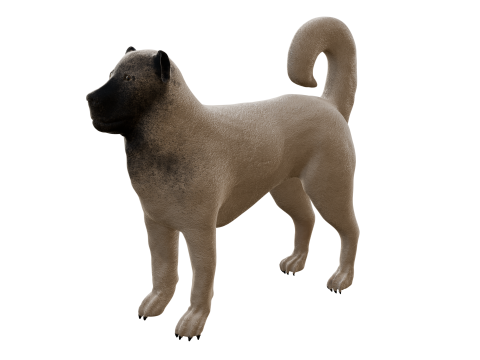 Kangal Shepherd 3d Modèle 3D