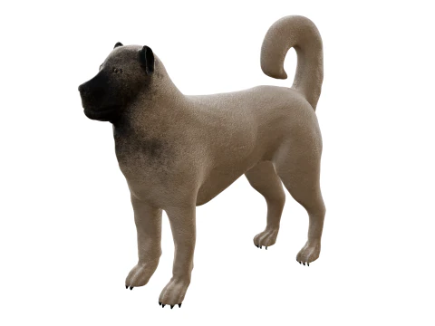 Kangal Shepherd 3d 3D Model