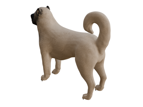 Kangal Shepherd 3d Modèle 3D