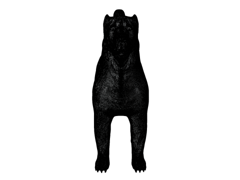 Kangal Shepherd 3d Modèle 3D