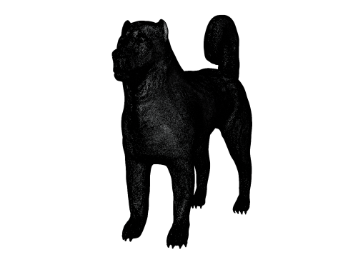 Kangal Shepherd 3d Modèle 3D