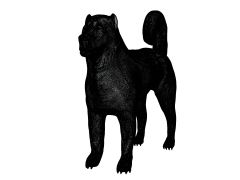 Kangal Shepherd 3d 3D Model