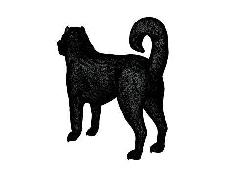 Kangal Shepherd 3d Modèle 3D