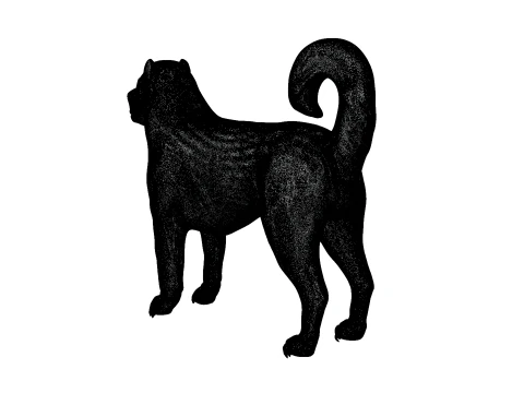 Kangal Shepherd 3d 3D Model