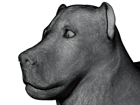 Kangal Shepherd 3d Modèle 3D