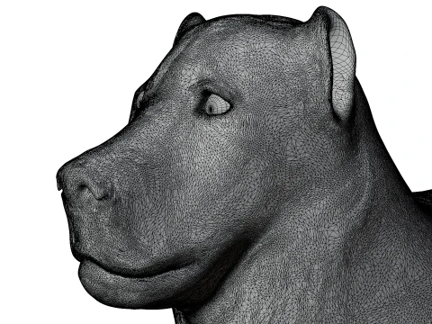Kangal Shepherd 3d 3D Model
