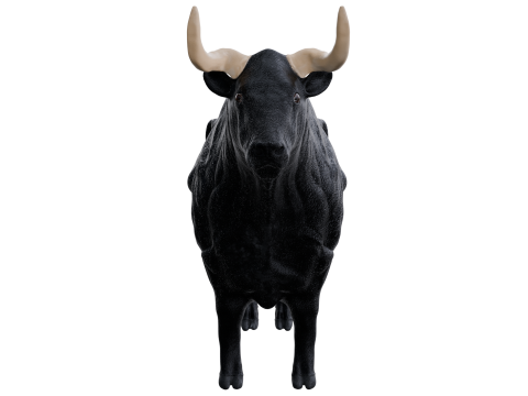 Bull 3d 3D Model