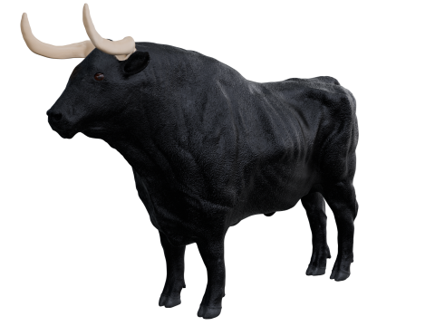 Bull 3d 3D Model