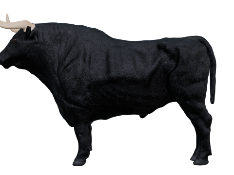 Bull 3d 3D Model