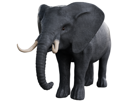 Elephant 3d Modelo 3D