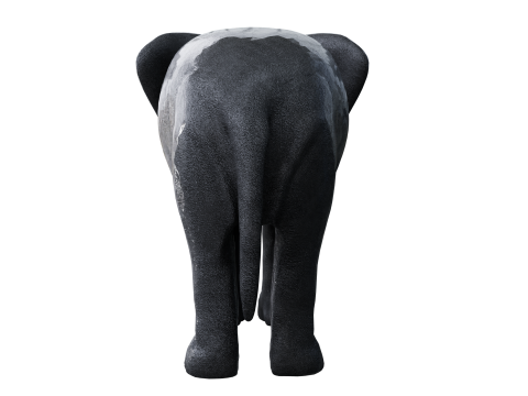 Elephant 3d Modelo 3D