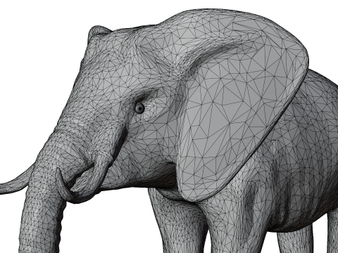 Elephant 3d Modelo 3D