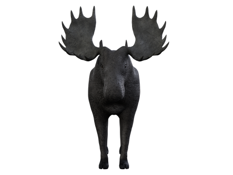 Moose 3d 3D Модель