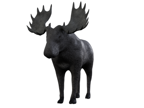 Moose 3d 3Dモデル