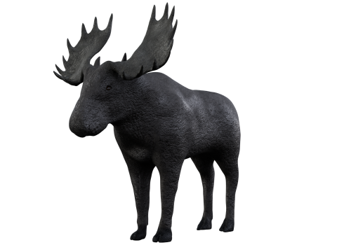 Moose 3d 3D Модель