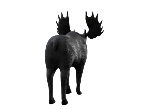 Moose 3d 3D Модель
