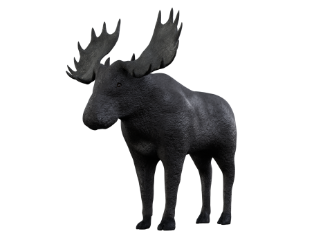 Moose 3d 3D Модель