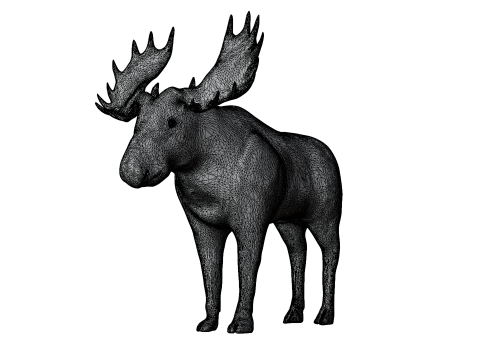 Moose 3d 3D Модель