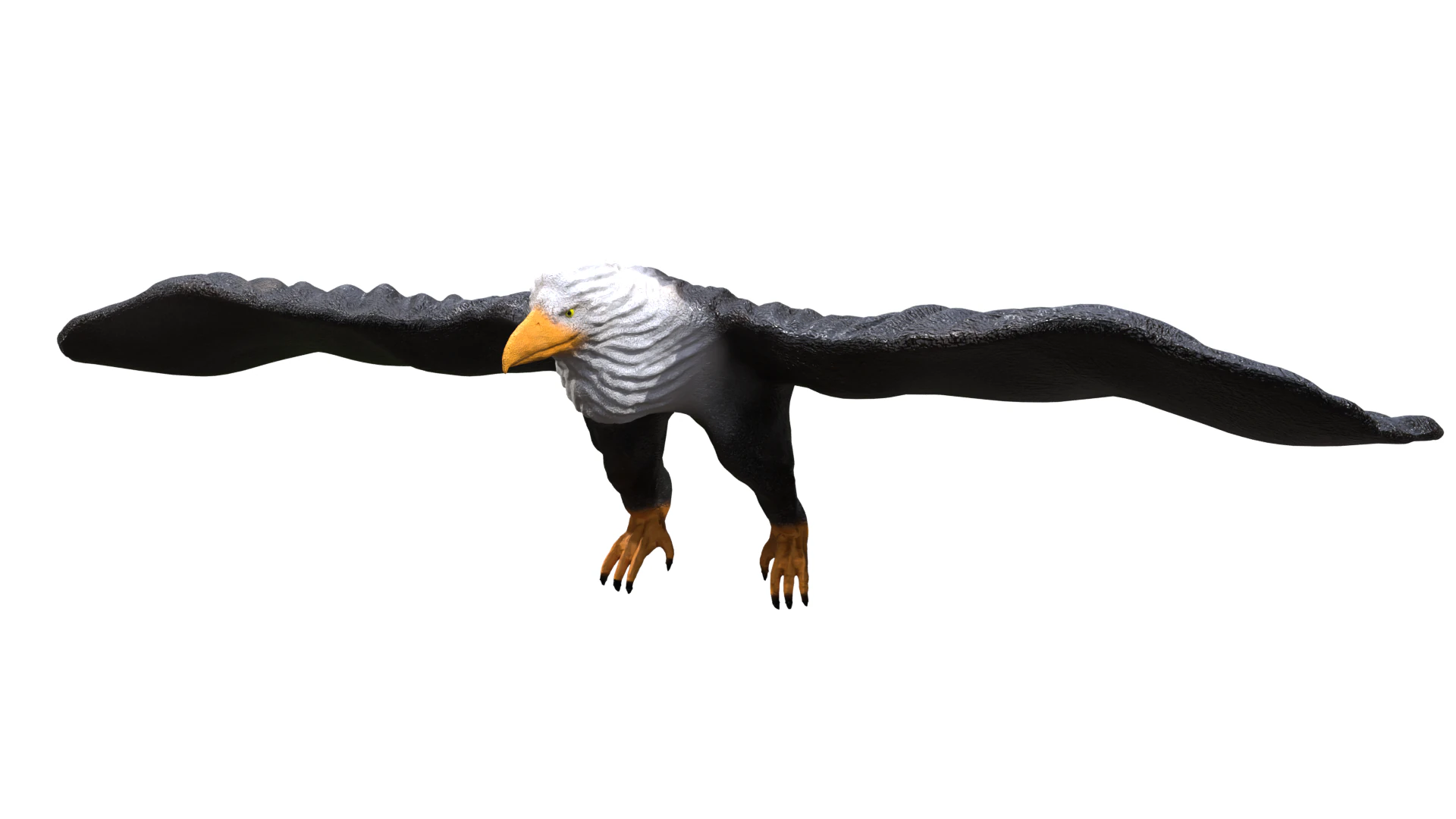 イーグル 3D 3Dモデル .c4d .max .obj .3ds .fbx .stl .blend 