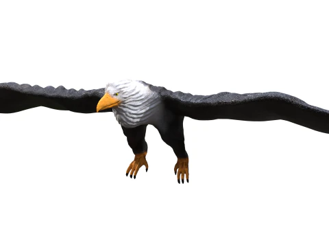 Орел 3d 3D Модель