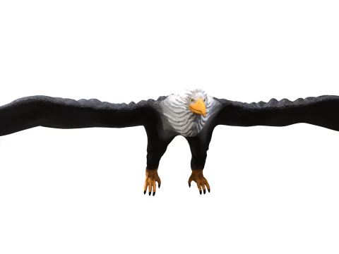 イーグル 3D 3Dモデル