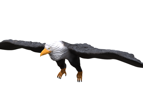 Eagle 3d 3D Model