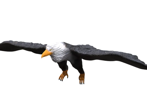 イーグル 3D 3Dモデル