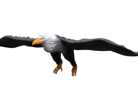 Eagle 3d 3D Model