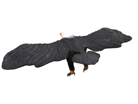 Eagle 3d 3D Model