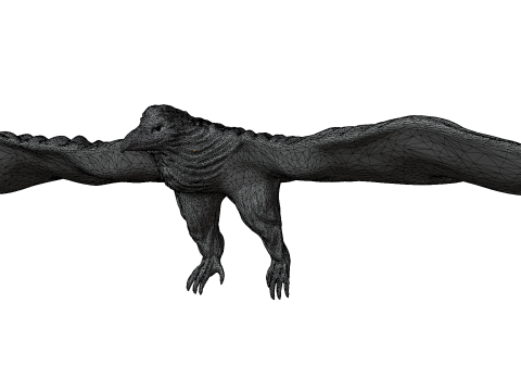 Eagle 3d 3D Model
