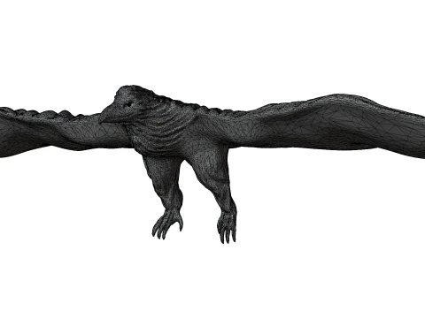 イーグル 3D 3Dモデル