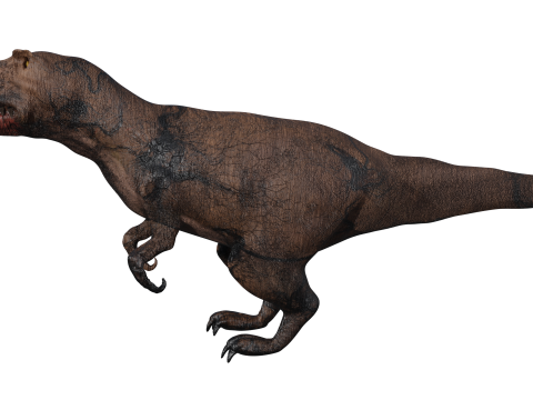 Dinosaur 3d 3D Модель