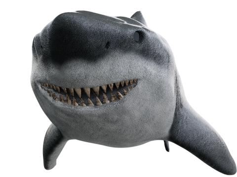 Shark 3d 3Dモデル