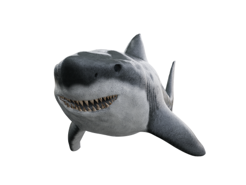 Shark 3d Modelo 3D