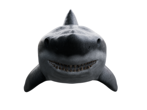 Shark 3d Modelo 3D