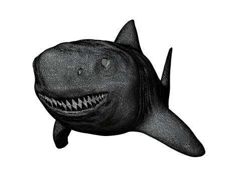 Shark 3d Modelo 3D