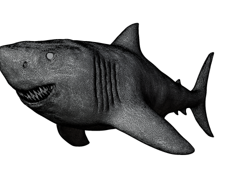 Shark 3d Modelo 3D