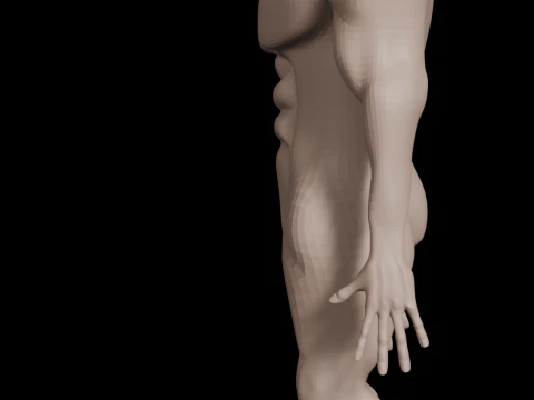 Men 3D Model