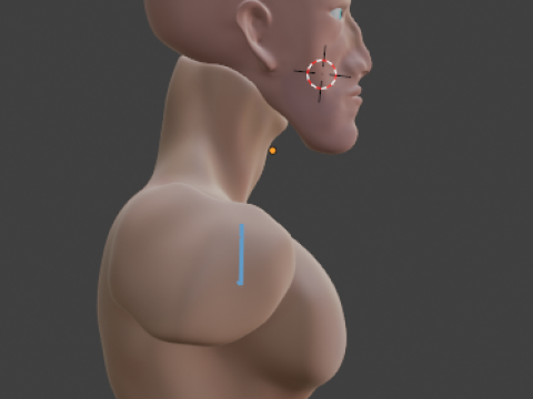 Men human 3D Model