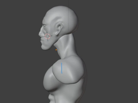 Men human 3D Model