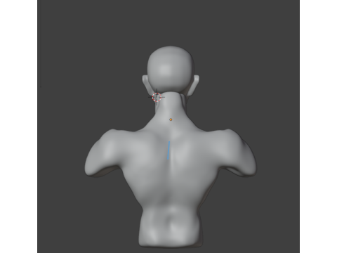 Men human 3D Model