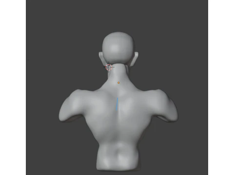 Men human 3D Model