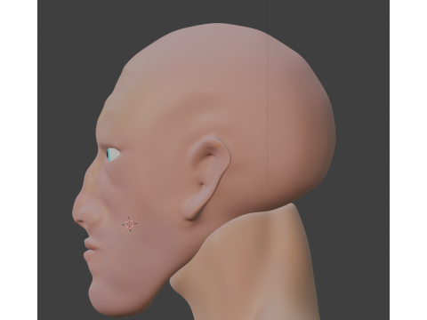 Men human 3D Model