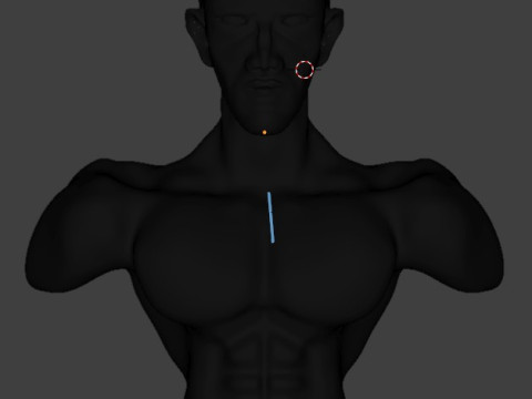 Men human 3D Model