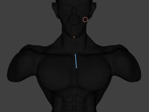 Men human 3D Model