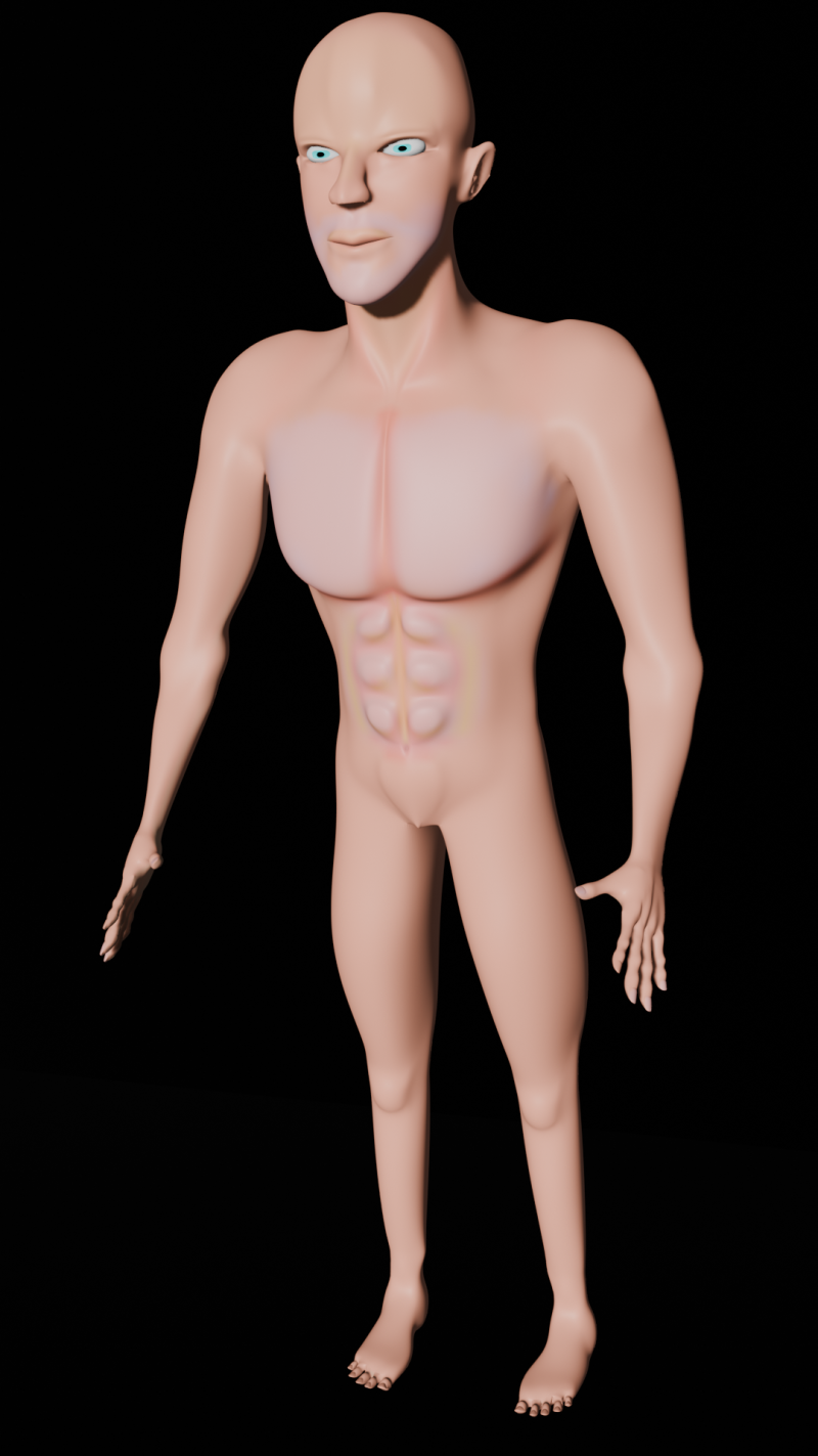 Human 3Dモデル .c4d .max .obj .3ds .fbx .stl .blend 