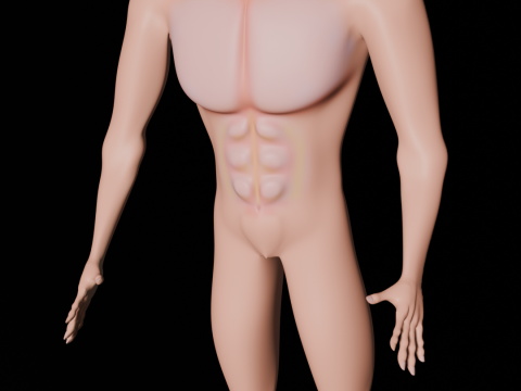 Human 3Dモデル